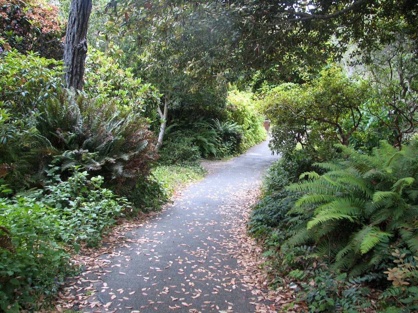 Botanical Garden Trail